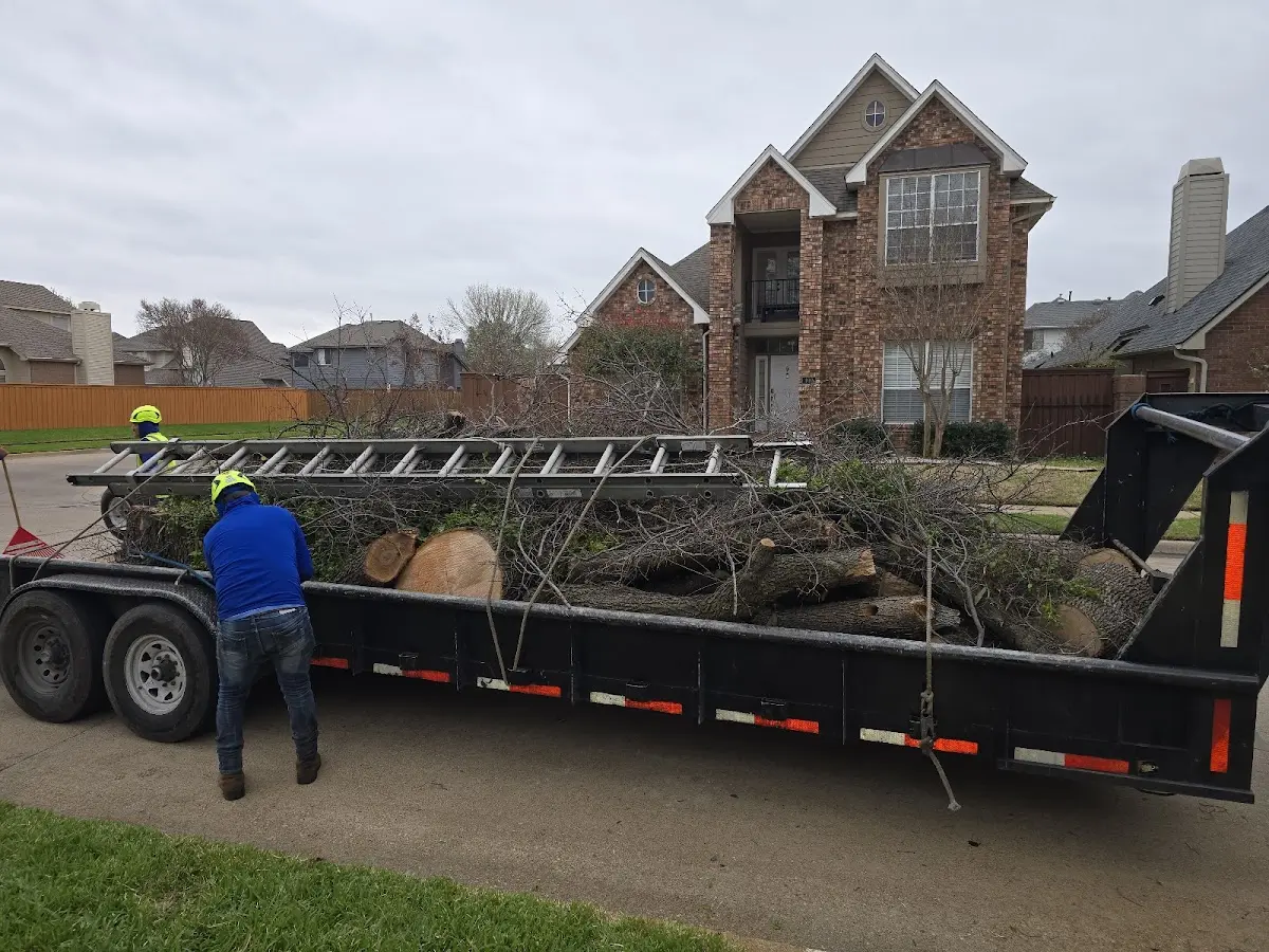 Expert Tree Fertilization with proper safety equipment in Hagerstown